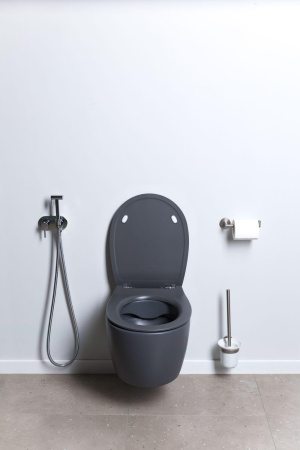 Чаша унитаза подвесная Allen Brau Fantasy 4.11004.AN цвет черный без сиденья безободковая каскадный смыв