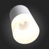 Светильник накладной ST Luce OTTU (ОТТУ) ST100.502.05