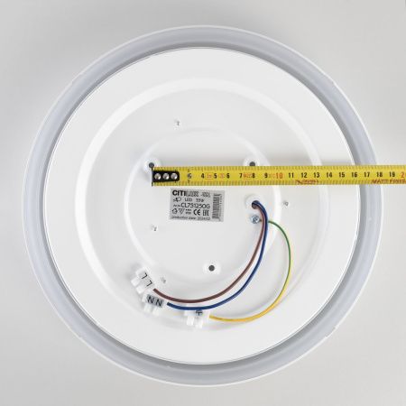 Светильник потолочный музыкальный Citilux Boss (Босс) CL751250G