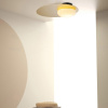 Светильник потолочный ImperiumLoft 208142-23