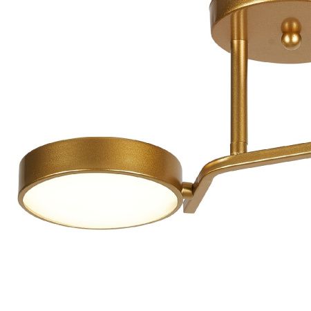 Светильник потолочный Escada Starlight (Старлигхт) 10273/2LED