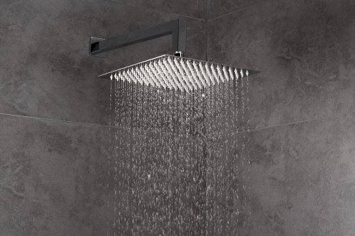 Душевая антикальцевая головка AQG 11ATL0220C25 цвет хром - фото 2