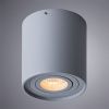 Светильник потолочный Arte Lamp Falcon (Фалцон) A5645PL-1GY