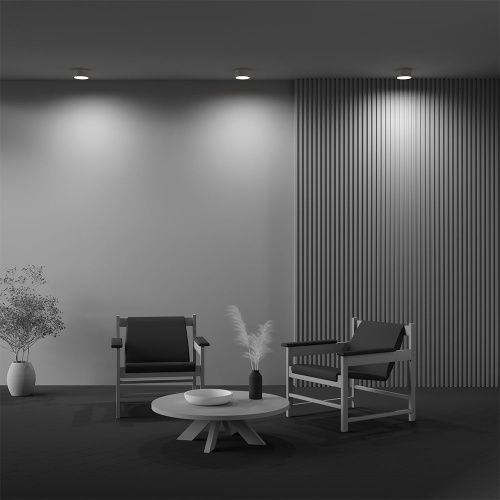 Светильник потолочный Maytoni Technical Zon C032CL-12W2.7K-RD-MG - фото 5