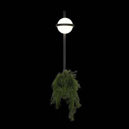 Светильник настенный Loft It Jardin 10121W/B