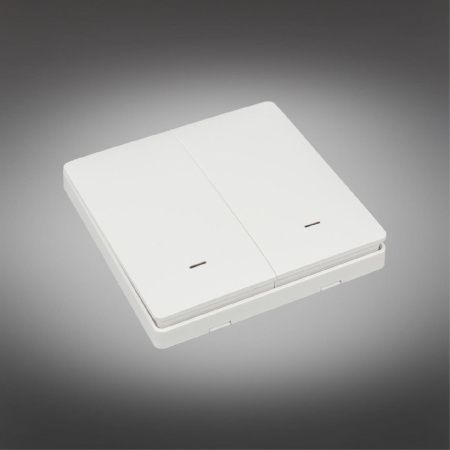 Выключатель двухклавишный Aployt Magnetic track 220 (Магнетиц трацк 220) APL.0190.00.02