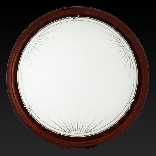 Светильник настенный Toplight Wifa (Вифа) TL9144Y-02PO - фото 3