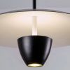 Светильник подвесной Lightera Pichola (Пицхола) LE128L-55B