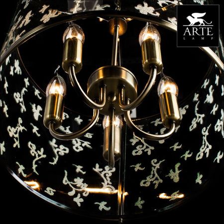 Люстра подвесная Arte Lamp Bruno (Бруно) A8286SP-5AB