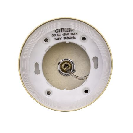 Светильник подвесной Citilux Hardy (Харды) CL002P12