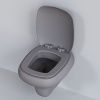 Крышка сиденье Ambassador Diamond 122T20301