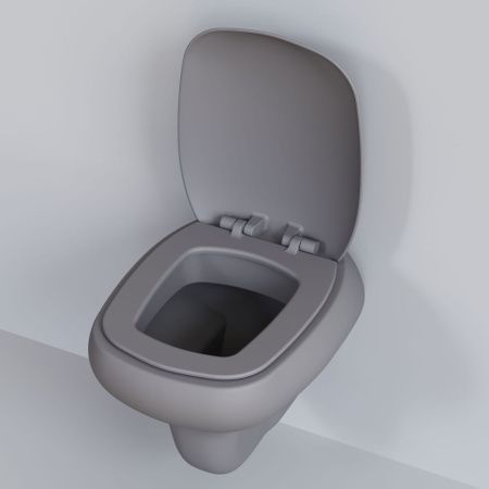 Крышка сиденье Ambassador Diamond 122T20301
