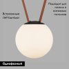 Трековый однофазный светильник Denkirs Belty orb (Белты орб) DK5553-BK