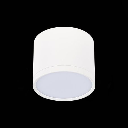 Светильник потолочный ST Luce Rene (Рене) ST113.542.09