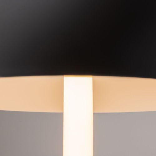 Светильник настольный Maytoni Ray Z012TL-L8B3K - фото 4