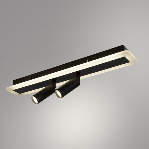 Спот Arte Lamp TOMMY (ТОММЫ) A2607PL-22BK - фото 2