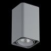 Светильник потолочный Lightstar Monocco (Моноццо) 052339