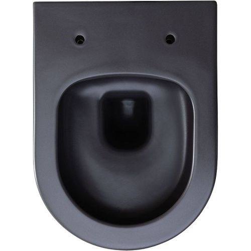 Чаша унитаза подвесная Allen Brau Priority 4.31002.AN цвет черный без сиденья безободковая каскадный смыв - фото 5