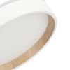 Светильник потолочный музыкальный Citilux Etalon (Еталон) CL750180