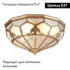Люстра потолочная Aployt Leoni (Леони) APL.625.07.04
