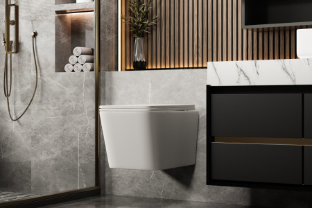 Унитаз подвесной Abber Rechteck AC1201MW белый матовый с сиденьем микролифт безободковый каскадный смыв