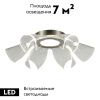 Люстра потолочная ST Luce Fairy (Фаиры) SL6235.102.20