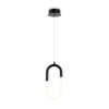 Светильник подвесной Freya Magnet (Магнит) FR6106PL-L13B