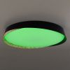 Светильник потолочный музыкальный Citilux Bonny (Бонны) CL754451G