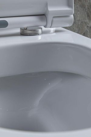 Чаша унитаза напольная Allen Brau Priority 4.31003.20 цвет белый без бачка с сиденьем микролифт безободковая каскадный смыв