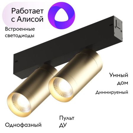 Трековый светильник Denkirs Smart Spot (Смарт Спот) DK8012-BG