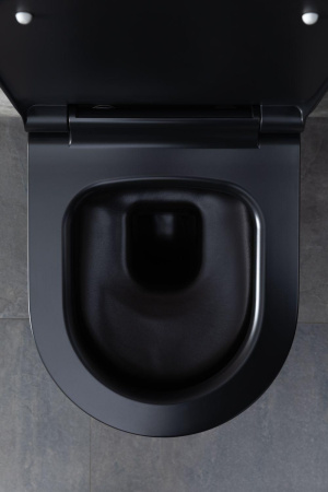 Чаша унитаза подвесная Allen Brau Priority 4.31002.31 цвет черный матовый без сиденья безободковая каскадный смыв