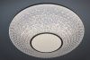 Люстра потолочная Natali Kovaltseva LED LAMPS RGB (ЛЕД ЛАМПС РГБ) LED LAMPS 81236