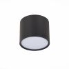 Светильник потолочный ST Luce Rene (Рене) ST113.432.09