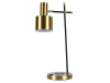 Настольная лампа Zortes DeskLight (ДескЛигхт) ZRS.1066.03