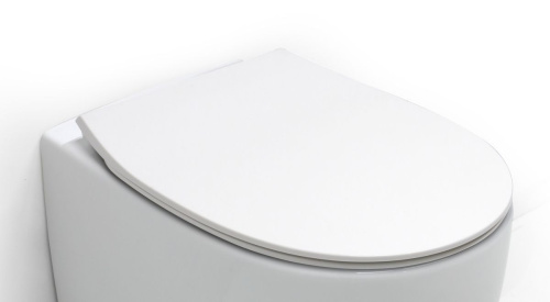 Крышка сиденье White Ceramic Basic WC00A01SL