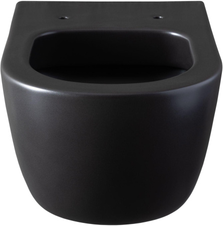 Чаша унитаза подвесная Allen Brau Priority 4.31001.31 цвет черный матовый без сиденья безободковая каскадный смыв