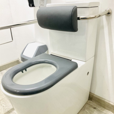 Поручень-опора регулируемая с подушкой для спины Dstrana 8346