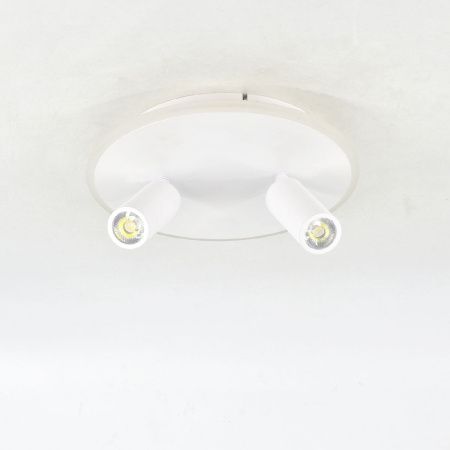 Настенно-потолочный светильник Escada 20046led 20046SMA/02LED WH