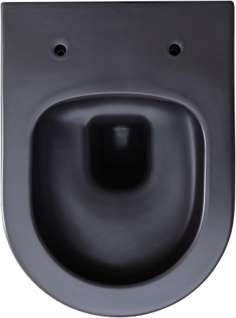 Чаша унитаза подвесная Allen Brau Priority 4.31002.AN цвет черный без сиденья безободковая каскадный смыв