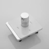 Гигиенический душ со смесителем Rose R105C белый/хром