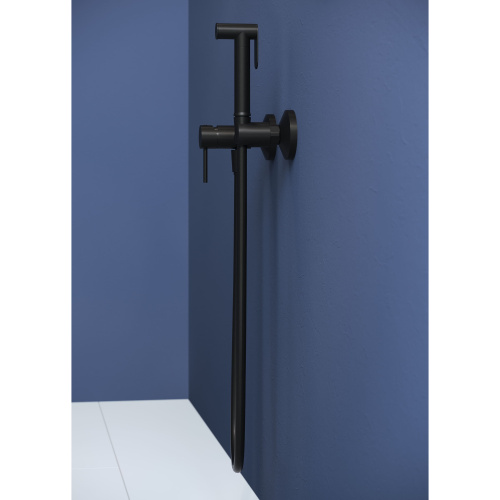 Гигиенический душ со смесителем RGW Shower Panels 581408215-04 черный - фото 4