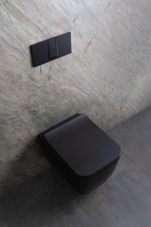 Чаша унитаза подвесная Allen Brau Liberty 4.33007.31 цвет черный без сиденья безободковая каскадный смыв