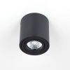 Светильник накладной Citilux Дюрен CL538113