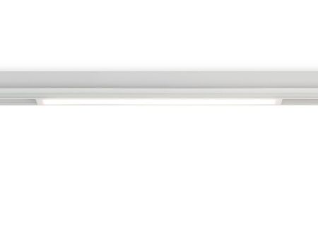 Трековый магнитный светильник Ambrella Light Magnetic 220V (Магнетиц 220В) GL1281