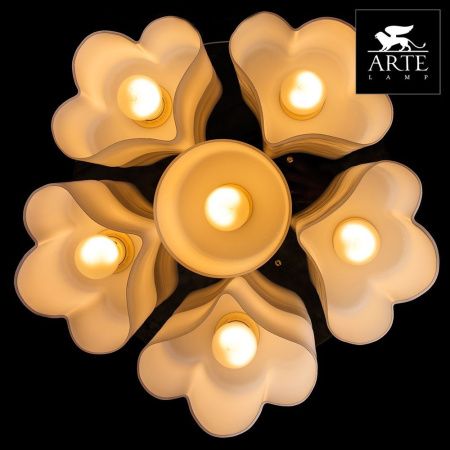 Люстра потолочная Arte Lamp Canzone (Цанзоне) A3489PL-6CC