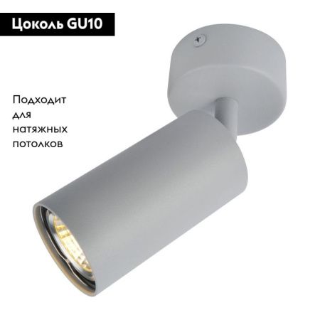 Спот Arte Lamp Aquarius (Акуариус) A3216PL-1GY