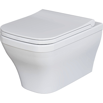 Крышка сиденье Ambassador Benefit 202T20001S