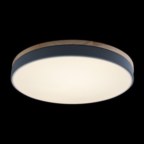 Светильник потолочный Loft It Axel 10001/36 Grey - фото 3