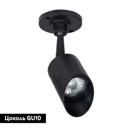 Прожектор уличный Arte Lamp Elsie (Елсие) A1022AL-1BK