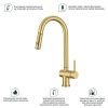 Смеситель для кухни Splenka S204 S204.49.03 на мойку золото